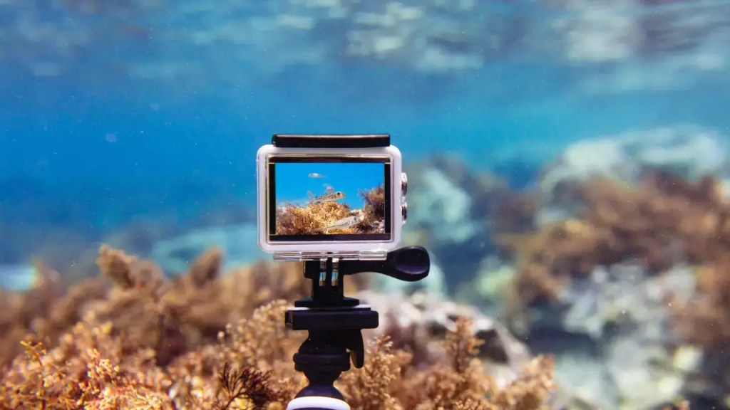 Best Underwater Action Cameras