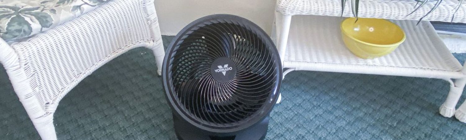 Best Universal Studios Cooling Fans