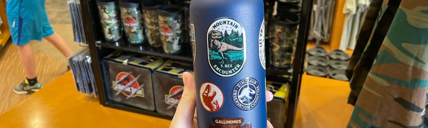 Best Universal Studios Themed Water Bottles
