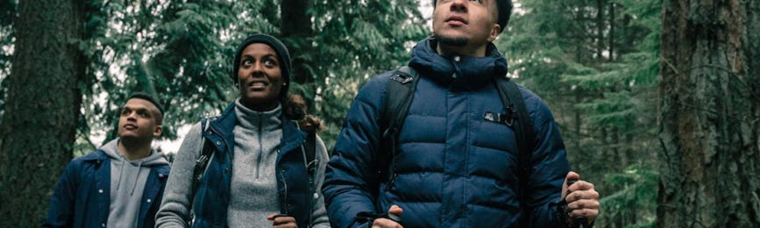 people hiking in a forest